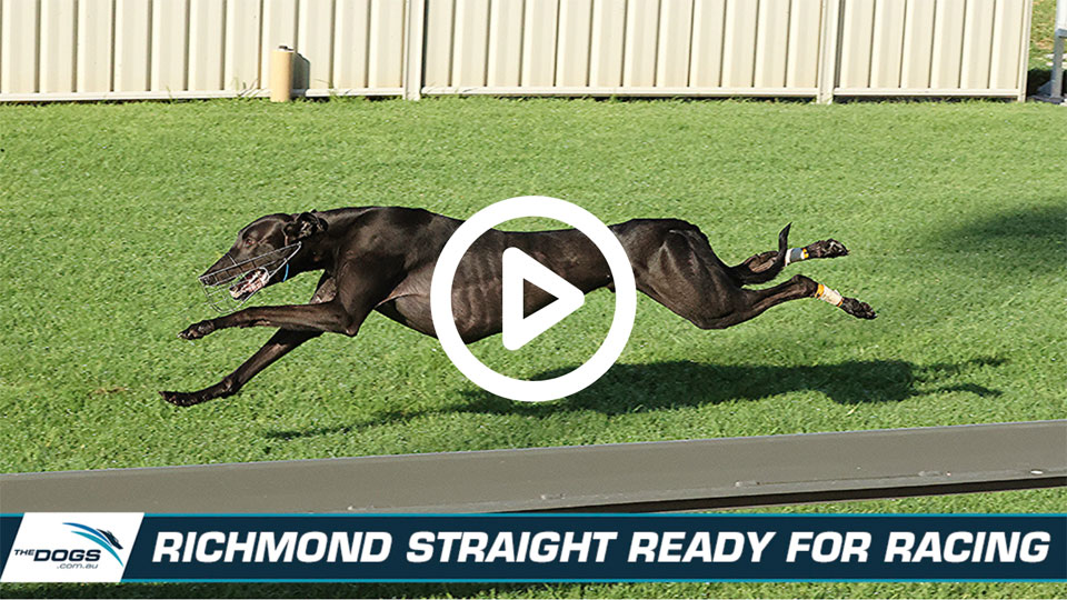 richmond straight track trials begin 960x540